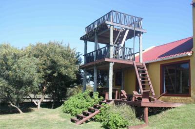 Torre Image