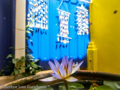 Amethyst Love Homestay Image
