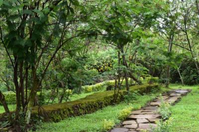 Jardines exhuberantes Image